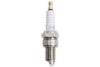 CHAMPION OE006/T10 Spark Plug